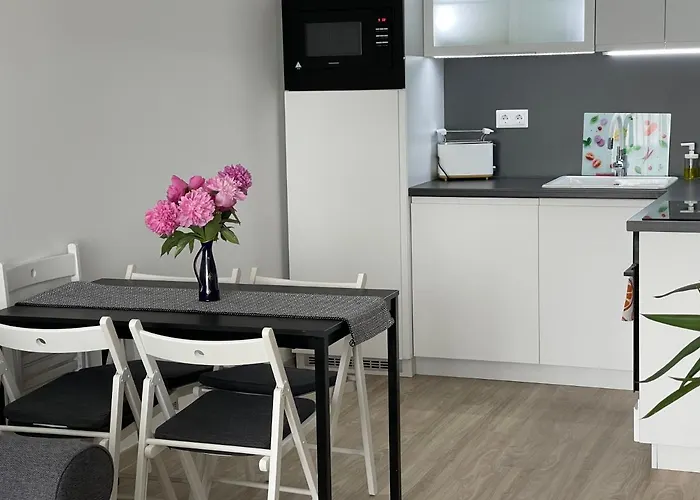 Vizparti Apartman